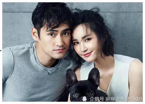 娱乐圈吃瓜爆料文字,揭秘明星背后的秘密与八卦